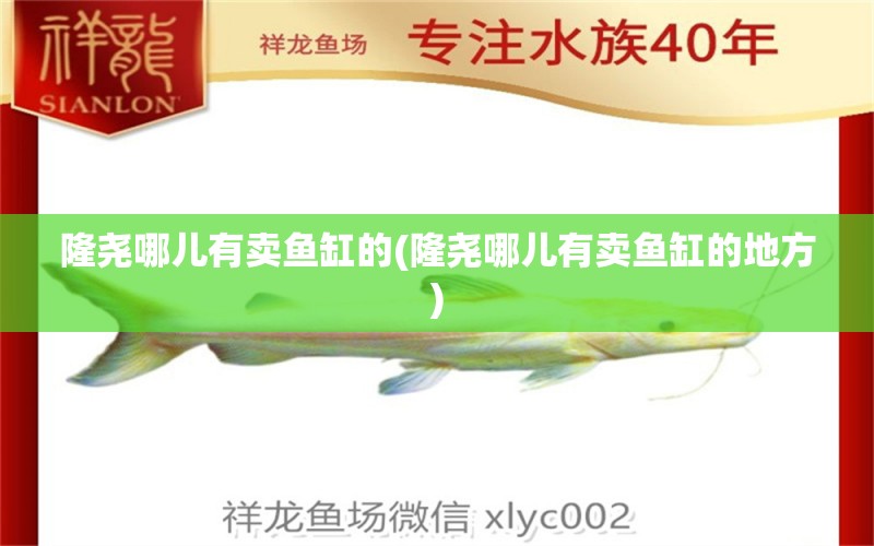 隆堯哪兒有賣(mài)魚(yú)缸的(隆堯哪兒有賣(mài)魚(yú)缸的地方) 野彩魚(yú)