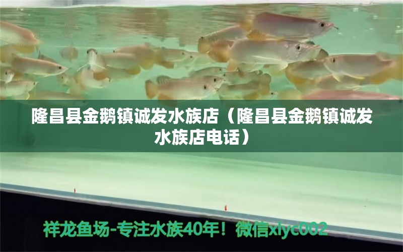 隆昌縣金鵝鎮(zhèn)誠發(fā)水族店（隆昌縣金鵝鎮(zhèn)誠發(fā)水族店電話）