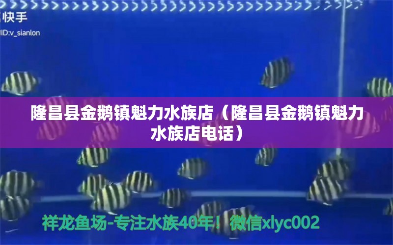 隆昌縣金鵝鎮(zhèn)魁力水族店（隆昌縣金鵝鎮(zhèn)魁力水族店電話） 全國水族館企業(yè)名錄