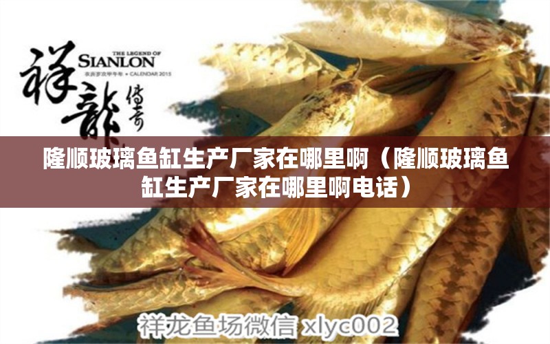 隆順玻璃魚缸生產廠家在哪里啊（隆順玻璃魚缸生產廠家在哪里啊電話） 觀賞魚市場（混養(yǎng)魚）