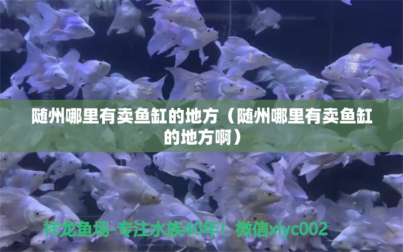 隨州哪里有賣魚缸的地方（隨州哪里有賣魚缸的地方?。?其他品牌魚缸