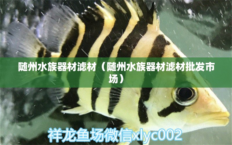 隨州水族器材濾材（隨州水族器材濾材批發(fā)市場） 廣州水族器材濾材批發(fā)市場