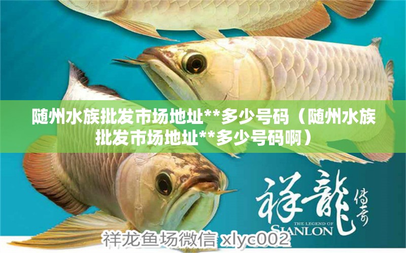 隨州水族批發(fā)市場地址**多少號碼（隨州水族批發(fā)市場地址**多少號碼?。?觀賞魚水族批發(fā)市場