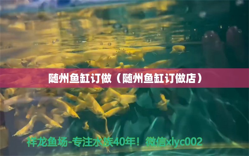 隨州魚缸訂做（隨州魚缸訂做店） 廣州龍魚批發(fā)市場