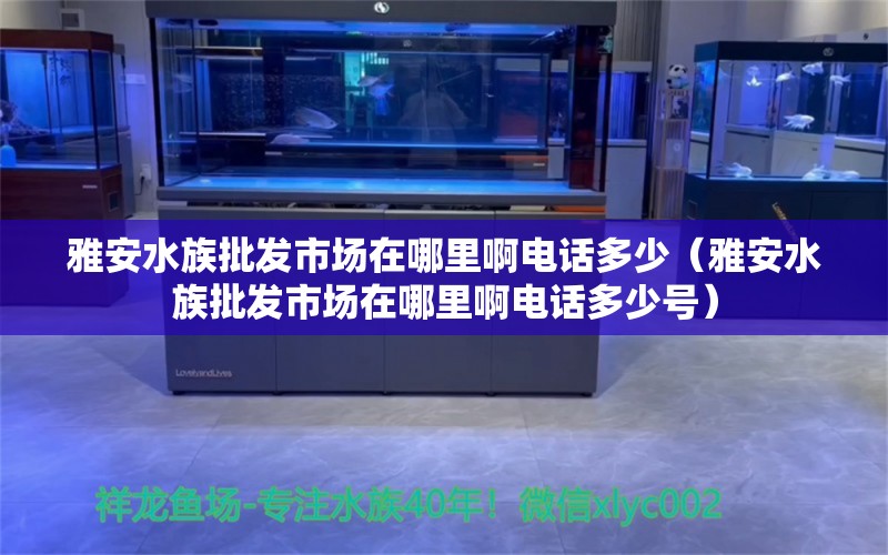 雅安水族批發(fā)市場在哪里啊電話多少（雅安水族批發(fā)市場在哪里啊電話多少號）