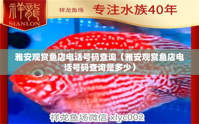 雅安觀賞魚店電話號(hào)碼查詢（雅安觀賞魚店電話號(hào)碼查詢是多少） 祥龍水族醫(yī)院