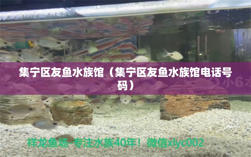 集寧區(qū)友魚水族館（集寧區(qū)友魚水族館電話號碼） 全國水族館企業(yè)名錄