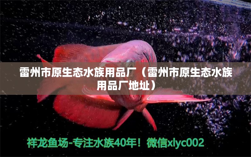 雷州市原生態(tài)水族用品廠（雷州市原生態(tài)水族用品廠地址） 水族用品