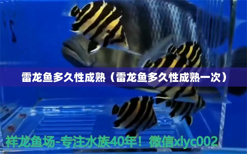 雷龍魚多久性成熟（雷龍魚多久性成熟一次）