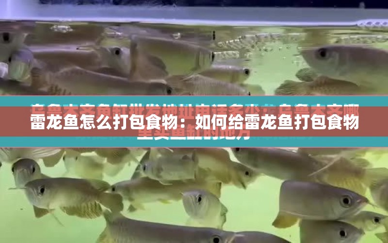 雷龍魚怎么打包食物：如何給雷龍魚打包食物 水族問答