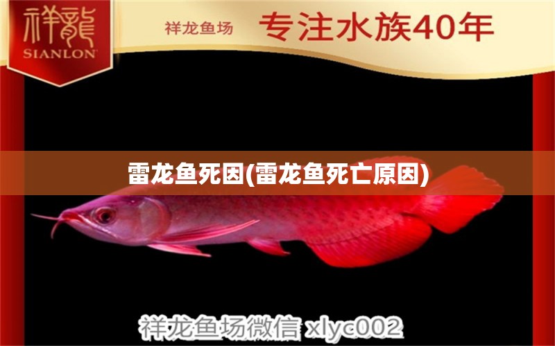 雷龍魚死因(雷龍魚死亡原因) 其他益生菌