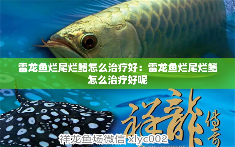 雷龍魚(yú)爛尾爛鰭怎么治療好：雷龍魚(yú)爛尾爛鰭怎么治療好呢