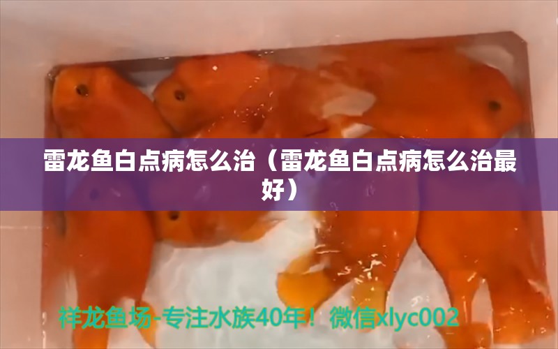 雷龍魚白點(diǎn)病怎么治（雷龍魚白點(diǎn)病怎么治最好） 祥龍魚場(chǎng)