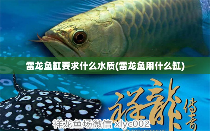 雷龍魚缸要求什么水質(zhì)(雷龍魚用什么缸)