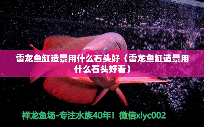 雷龍魚缸造景用什么石頭好（雷龍魚缸造景用什么石頭好看）