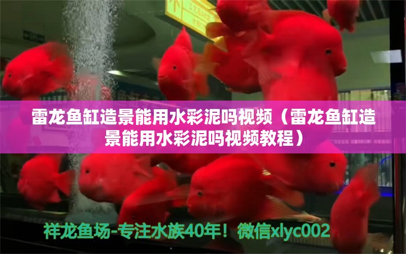 雷龍魚缸造景能用水彩泥嗎視頻（雷龍魚缸造景能用水彩泥嗎視頻教程）