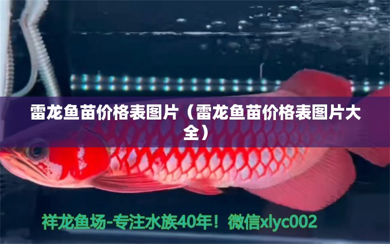 雷龍魚苗價格表圖片（雷龍魚苗價格表圖片大全） 水族燈（魚缸燈）