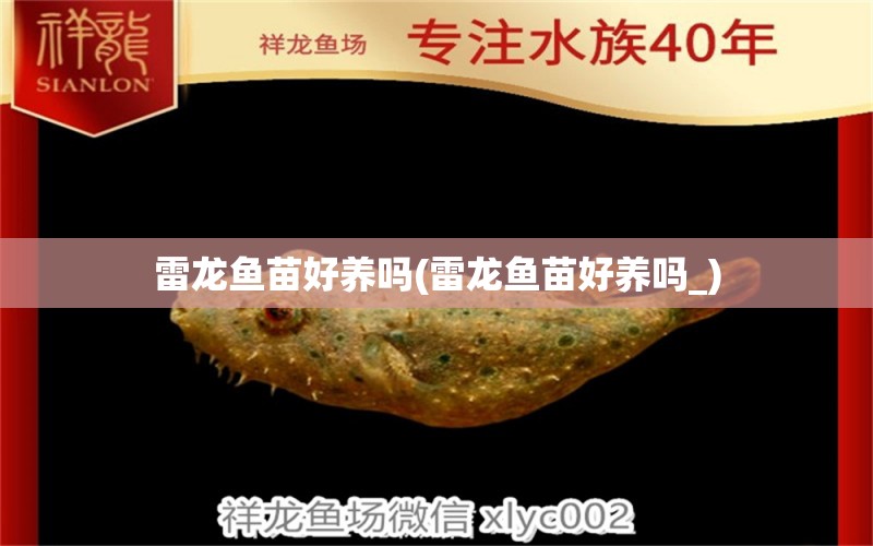 雷龍魚苗好養(yǎng)嗎(雷龍魚苗好養(yǎng)嗎_) 可麗愛魚缸