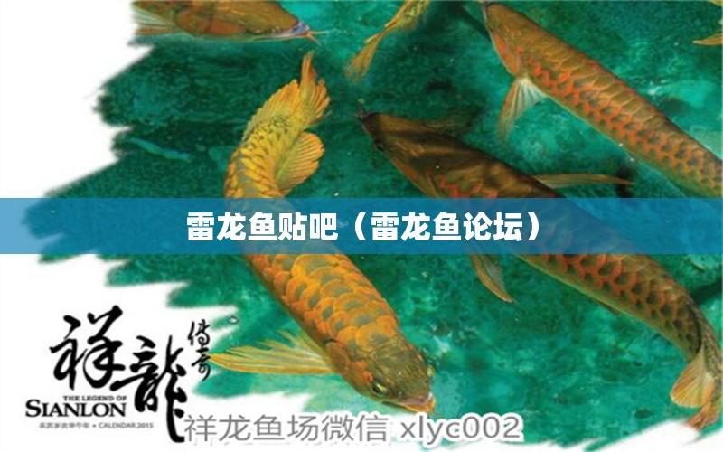 雷龍魚貼吧（雷龍魚論壇）