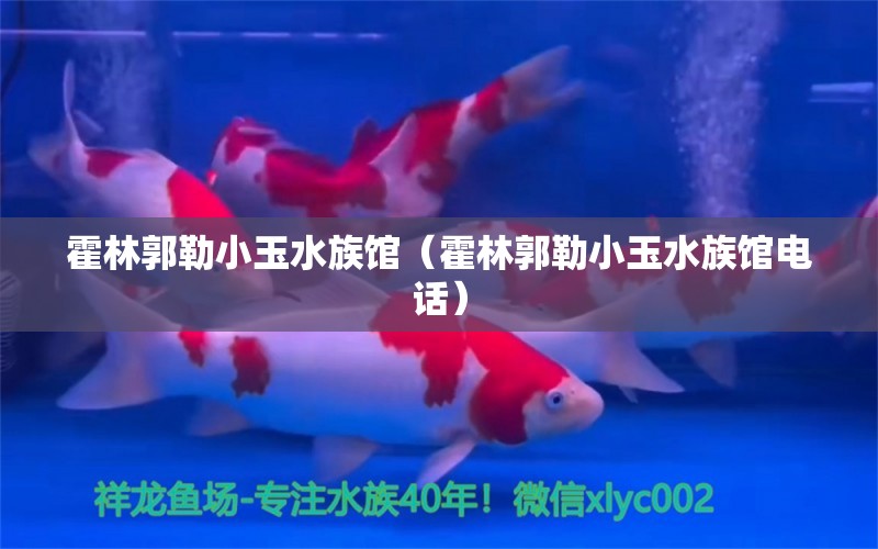 霍林郭勒小玉水族館（霍林郭勒小玉水族館電話）