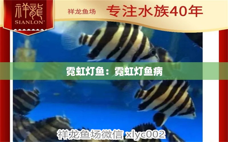 霓虹燈魚：霓虹燈魚病 觀賞魚