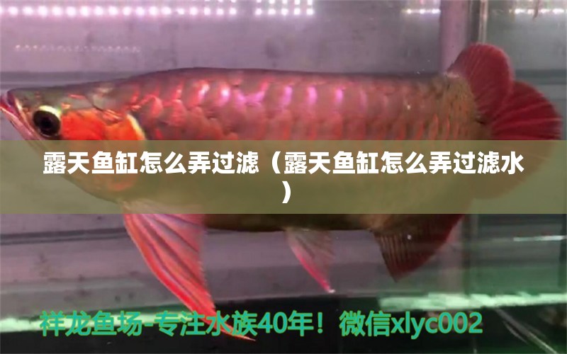 露天魚缸怎么弄過濾（露天魚缸怎么弄過濾水）