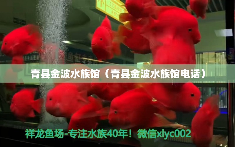 青縣金波水族館（青縣金波水族館電話） 全國水族館企業(yè)名錄