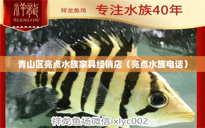 青山區(qū)亮點(diǎn)水族家具經(jīng)銷店（亮點(diǎn)水族電話）