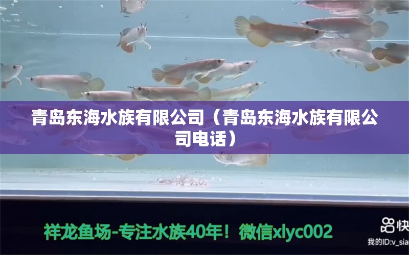 青島東海水族有限公司（青島東海水族有限公司電話）