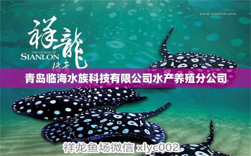 青島臨海水族科技有限公司水產(chǎn)養(yǎng)殖分公司