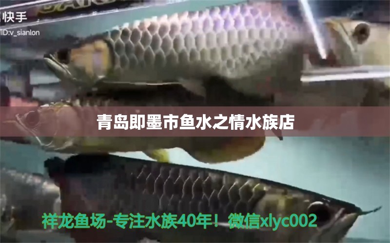 青島即墨市魚水之情水族店 全國水族館企業(yè)名錄