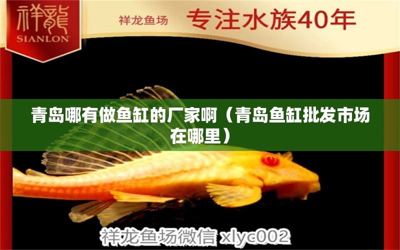 青島哪有做魚缸的廠家啊（青島魚缸批發(fā)市場在哪里） 廣州觀賞魚批發(fā)市場