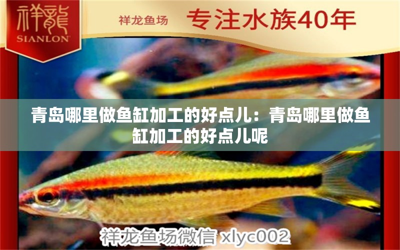 青島哪里做魚(yú)缸加工的好點(diǎn)兒：青島哪里做魚(yú)缸加工的好點(diǎn)兒呢 水溫計(jì) 第1張