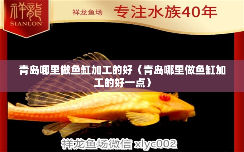 青島哪里做魚缸加工的好（青島哪里做魚缸加工的好一點(diǎn)）