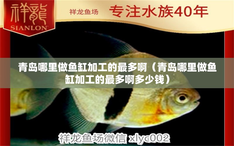 青島哪里做魚缸加工的最多啊（青島哪里做魚缸加工的最多啊多少錢）