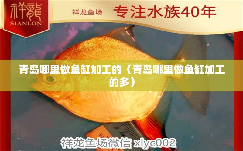 青島哪里做魚缸加工的（青島哪里做魚缸加工的多） 其他品牌魚缸