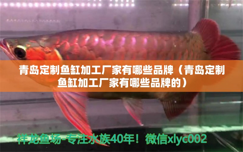 青島定制魚缸加工廠家有哪些品牌（青島定制魚缸加工廠家有哪些品牌的）