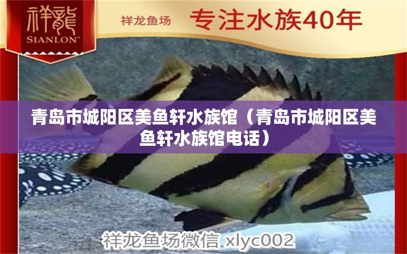 青島市城陽(yáng)區(qū)美魚軒水族館（青島市城陽(yáng)區(qū)美魚軒水族館電話）