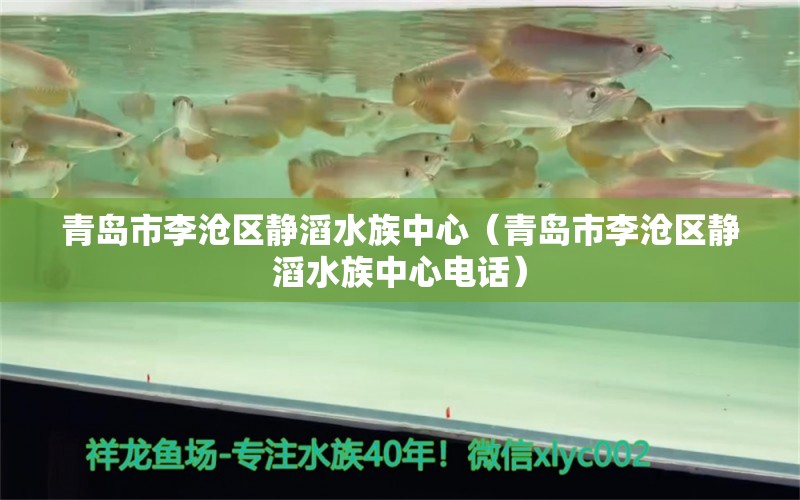 青島市李滄區(qū)靜滔水族中心（青島市李滄區(qū)靜滔水族中心電話）