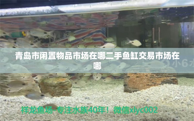 青島市閑置物品市場在哪二手魚缸交易市場在哪 觀賞魚