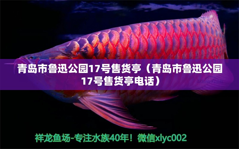 青島市魯迅公園17號(hào)售貨亭（青島市魯迅公園17號(hào)售貨亭電話）