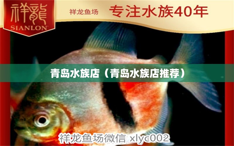 青島水族店（青島水族店推薦） 觀賞魚(yú)市場(chǎng)