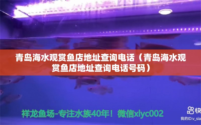 青島海水觀賞魚店地址查詢電話（青島海水觀賞魚店地址查詢電話號碼）