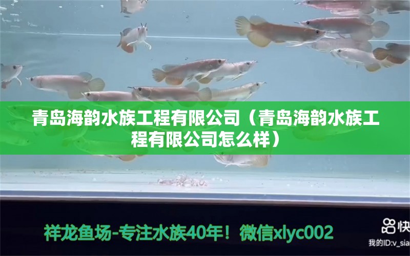 青島海韻水族工程有限公司（青島海韻水族工程有限公司怎么樣）