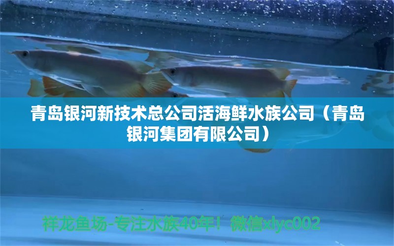 青島銀河新技術(shù)總公司活海鮮水族公司（青島銀河集團有限公司） 全國水族館企業(yè)名錄