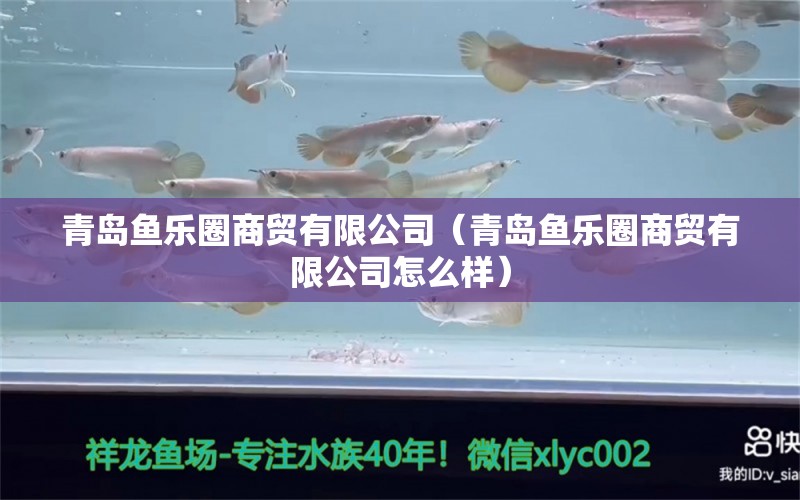 青島魚樂(lè)圈商貿(mào)有限公司（青島魚樂(lè)圈商貿(mào)有限公司怎么樣） 全國(guó)水族館企業(yè)名錄