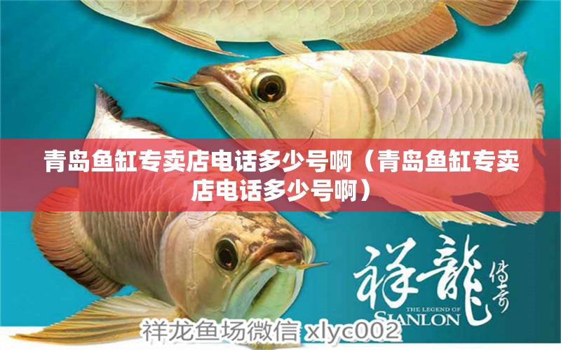 青島魚缸專賣店電話多少號(hào)?。ㄇ鄭u魚缸專賣店電話多少號(hào)啊）