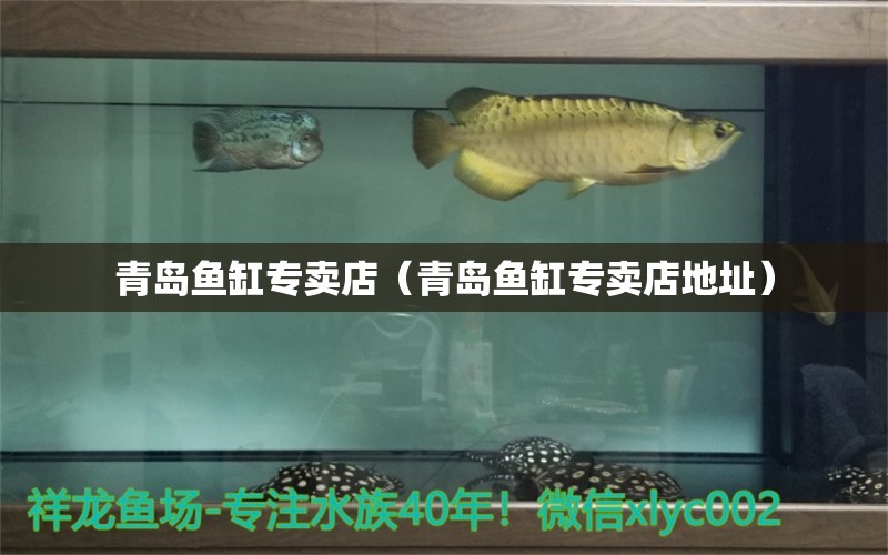 青島魚缸專賣店（青島魚缸專賣店地址）