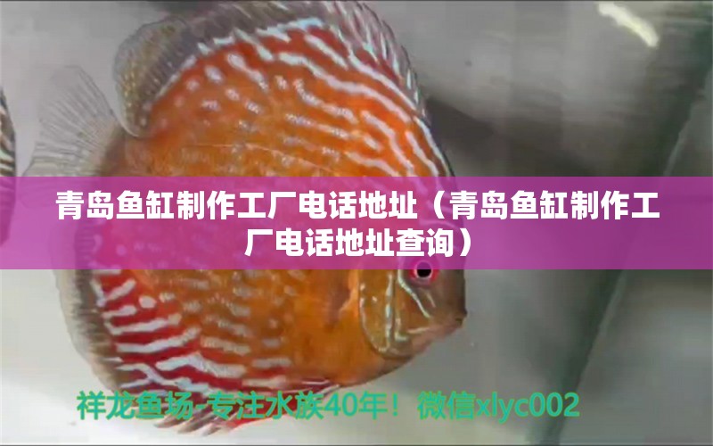 青島魚缸制作工廠電話地址（青島魚缸制作工廠電話地址查詢） 觀賞魚市場（混養(yǎng)魚）