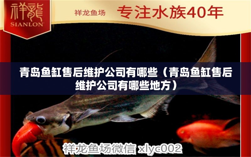 青島魚缸售后維護(hù)公司有哪些（青島魚缸售后維護(hù)公司有哪些地方） 其他品牌魚缸